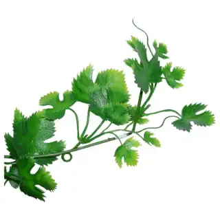 Lucky Reptile Grape Leaf Vine