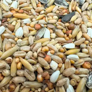 Bello Vildfågelblandning Ekonomi 12,5 Kg