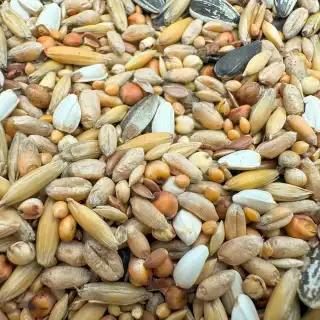 Bello Vildfågelblandning Ekonomi 1 Kg