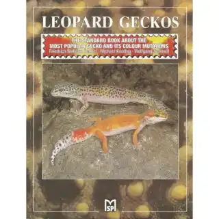 Leopard Geckos